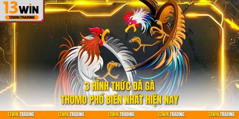 3 hình thức đá gà Thomo phổ biến nhất hiện nay
