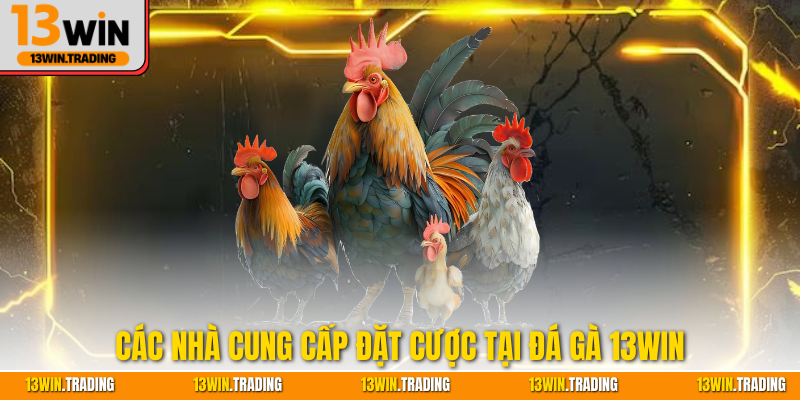 Các nhà cung cấp đặt cược tại đá gà 13Win