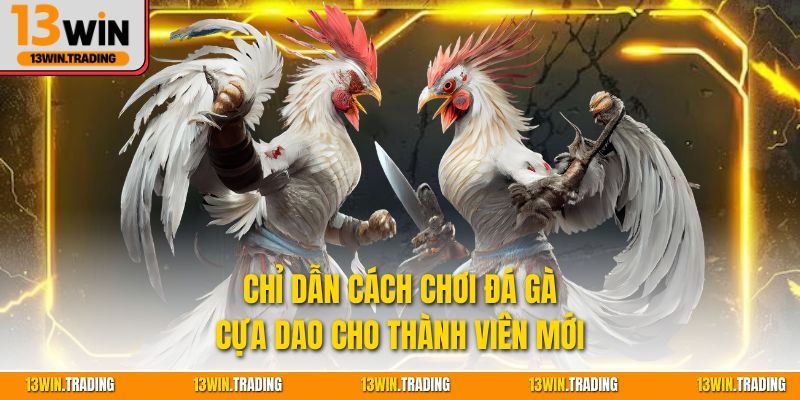 Chỉ dẫn cách chơi đá gà cựa dao cho thành viên mới
