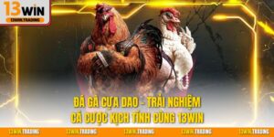 Đá gà cựa dao trải nghiệm cá cược kịch tính cùng 13Win
