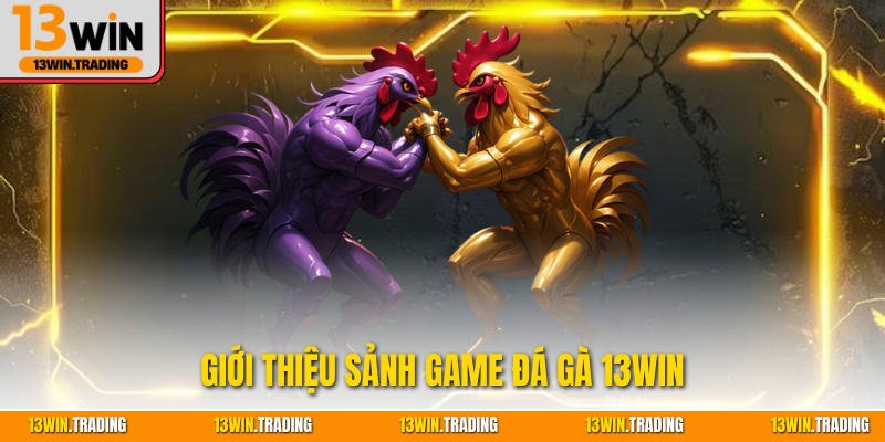 Giới thiệu sảnh game đá gà 13Win