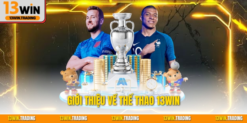 Giới thiệu về thể thao 13Win